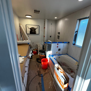 Master Bathroom Remodel