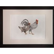 Roxanne Witbracht's photo