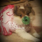 Gail Duncan's photo