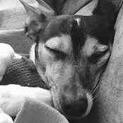 Farrah Johnson's photo