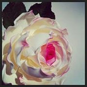 Foto de Caroline Brisson