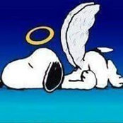 Shirlene Mase's photo
