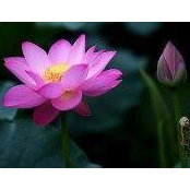 Tina Sun's photo