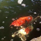 Carolyn Weise's photo