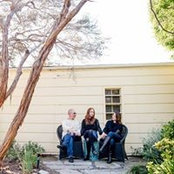 Sharon Merle-Lieberman's photo