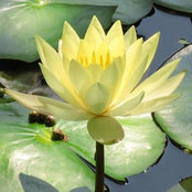 Annette McLean's photo