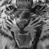 Herbert Parreño's photo