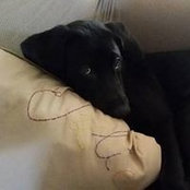 Julie DeWolfe's photo