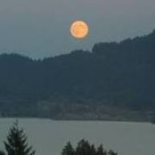 Nancy Flack's photo