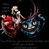 Amy Harrell's photo