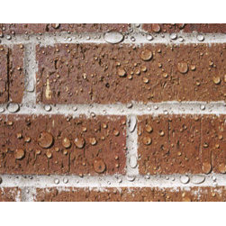 Seal Damp Brick & Stone Walls - Products