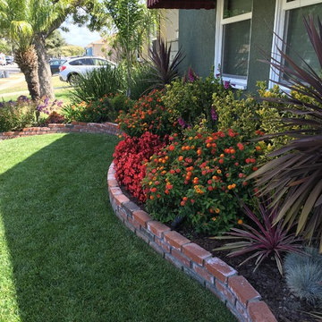 Long Beach Drought Tolerant Landscape