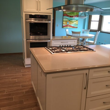 Large Mount Prospect Remodel