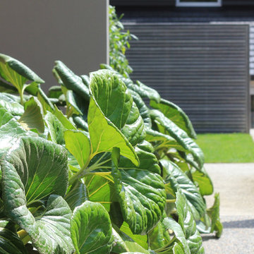 Design and Garden Landscapes - Doctors Point