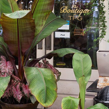 Planter Design