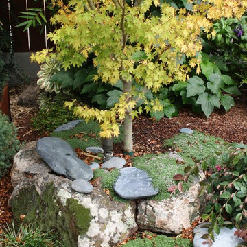San Francisco, Artificial Grass