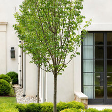 st louis new house