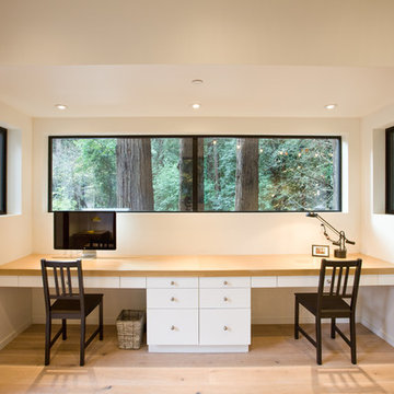 Forest Studio