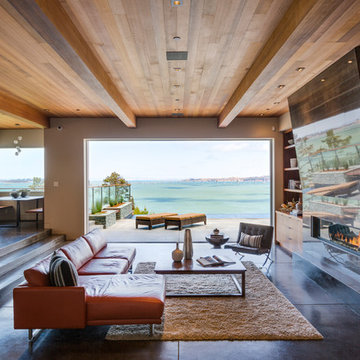 Bayside Gem, Tiburon