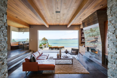 Inspiration for a contemporary living room remodel in San Francisco