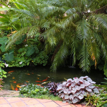 courtyard koi pond