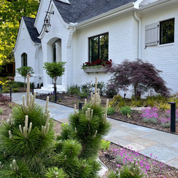 Front garden, 6 months after installation.