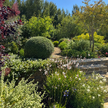 La Ciotat (Bouches du Rhône) - Jardin méditerranéen en restanques