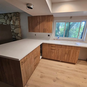 Kitchen Remodel