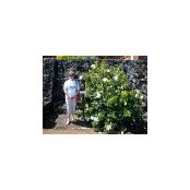 Trina Doyle's photo