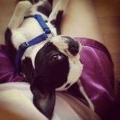 Lisa Curti's photo