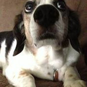 Janet Snetsinger's photo