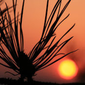Matthew Bula's photo