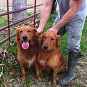 Mike Talley's photo