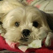 Melissa Rieber's photo