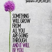 Elizabeth Kane's photo