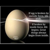 Sean Ng's photo