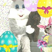 Nancy Schwenkner's photo