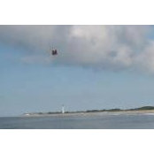 JoAnn Brozowski's photo