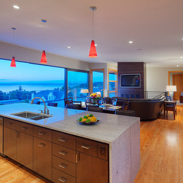 Dash Point Residence