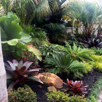 Balinese And Subtropical Gardens