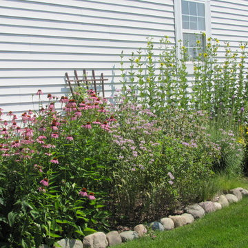 Native Perennial Gardens