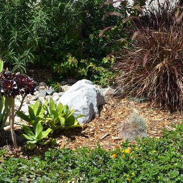 An Urban Oasis