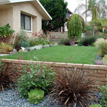 Colorful front yard