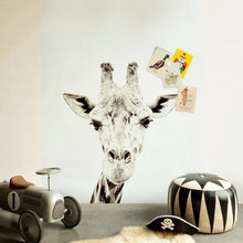 Interior Ornaments - Mix of Designs and Styles
