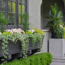 Window boxes