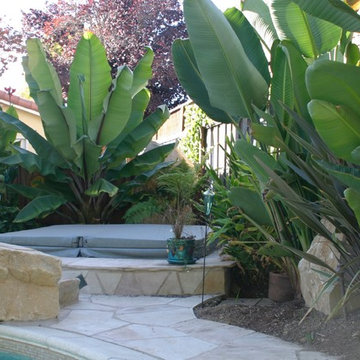 Water Features