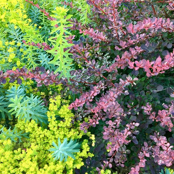 Planting Design
