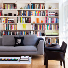 Living room shelves