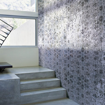 Evolution Wallpaper available at NewWall
