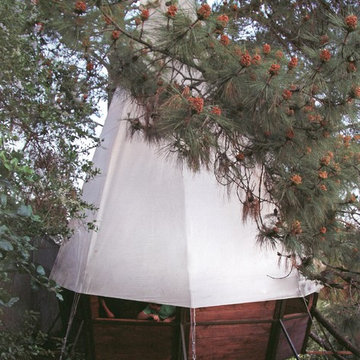Tree Houses
